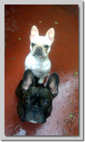 Boozer & Baby DaisyMay