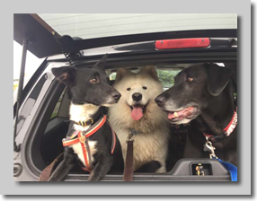 Best Friends
