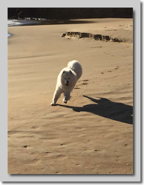 Fun in the Sun